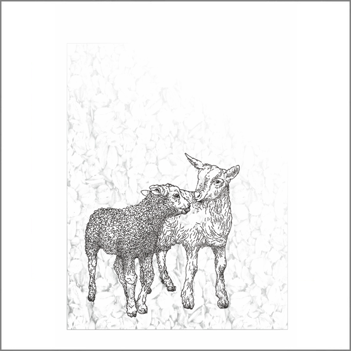 2020 Geitje en lammetje.jpg